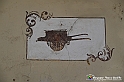 VBS_0789 - Corneliano d'Alba